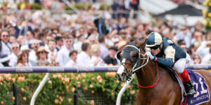Soulcombe clears out under Craig Williams to win the Queen’s Cup at Flemington on November 5 last year.