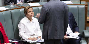 Communications Minister Michelle Rowland and Prime Minister Anthony Albanese during question time this month.