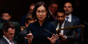 NSW Education Minister Prue Car in question time last week.