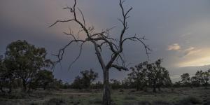 Dawn breaks near Bourke,on the drought-afflicted Darling River.