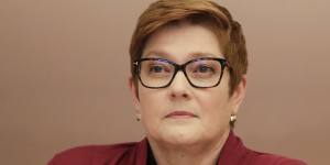 Foreign Minister Marise Payne says this is the most important AUSMIN meeting in her time.