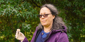 Senior mycologist Teresa Lebel with the offending fungus.
