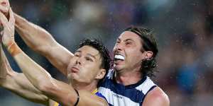 Geelong free agent to spurn rival Victorian clubs for long deal at the Cattery