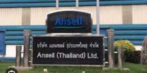 The Ansell factory where the employees work.