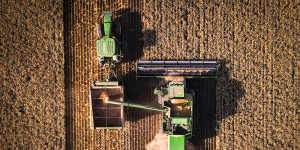 A farmer operates a machine known as a header,which harvests wheat and unloads it into an accompanying grain cart,called a chaser bin,during a harvest last year in northern NSW,