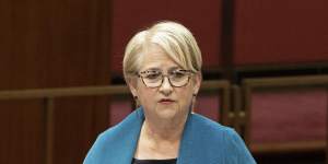 Greens senator Barbara Pocock pushed for a Senate inquiry into the billions of dollars spent on consultants.