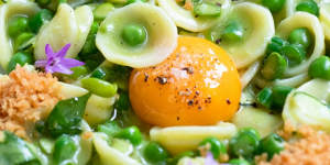 Orecchiette with peas,green garlic,pangrattato. 