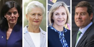 Julia Banks,Kerryn Phelps,Zali Steggall and Oliver Yates are four of the seven independent candidates to have signed the agreement.