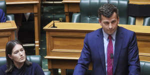 ACT Party leader David Seymour stands during the first debate on the Treaty Principal Bill.