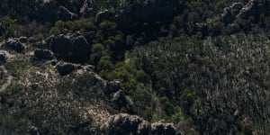 New 30,000 hectare expansion to Blue Mountains national park after years of negotiation