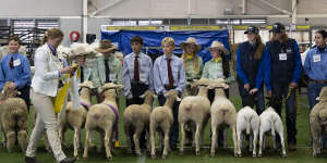 Annabelle Woodmore and Emily Chad (seventh and eighth from left) compete in the sheep pairs competition.