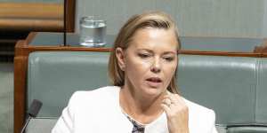 Flinders MP Zoe McKenzie in parliament.