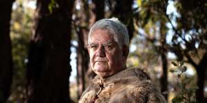 Wyatt wore a ­kangaroo skin cloak,or booka,when he was sworn in as Australia’s first Indigenous federal minister in 2017.