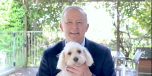 As the PM’s pooch,I thought I had it ruff. Then I met my mate Skinny