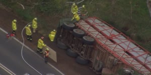 Cows dead after cattle truck crashes in Sydney’s west