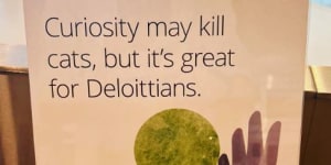 Curiosity may kill cats,but it’s great for Deloittians,says Deloitte.