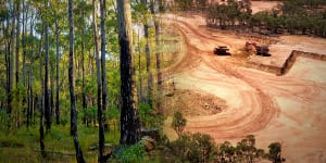 ‘Greenwashing’:WA jarrah cleared for Alcoa mines sold as ‘sustainable’