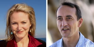 Former Labor MP sues Liberal MP Dave Sharma for defamation over tweet