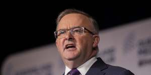 Anthony Albanese will commit Labor to a net zero emissions target by 2050.