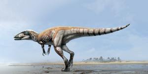 An artist's impression of the seven-metre-long Lightning Claw,the largest carnivorous dinosaur found in Australia.
