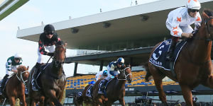 Golden Slipper postponed;washout brings back memories of famous win over Winx for trainer