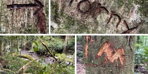 ‘Like graffitiing a church’:Vandal attacks national park grave site