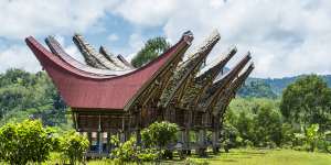 Traditional Tongkonan Houses of the Toraja people.