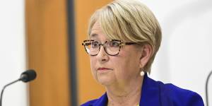 Greens senator Barbara Pocock has been one of PwC’s fiercest critics.