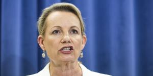 Deputy Opposition Leader Sussan Ley has concerns the Voice could have a “de facto veto role” in changing Australia Day or Anzac Day.