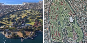 The 569 trees in the way of plans to revitalise Royal Sydney Golf Club