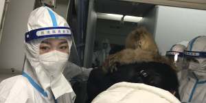 Cabin crew wearing protective gear check the temperatures of travellers heading to China on a flight from New York.