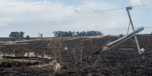 Powercor'knew about rotten pole and failed to act'before bushfire