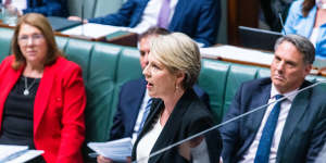 Environment Minister Tanya Plibersek took aim at the Greens in question time on Thursday.