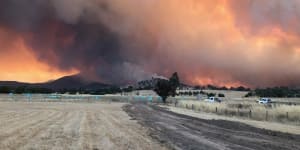 Devastation marches west across Alpine and Upper Murray