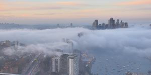 Sydney Harbour Bridge vanishes in blanket of thick fog