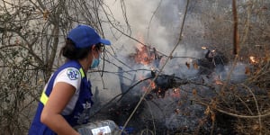 Bolivian President accepts aid as Amazon fires double in size