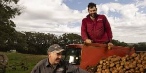 on Hill with his son Ryan Hill on their potato farm in Wildes Meadow in NSW. They will be participating in the Robertson Potato Festival.