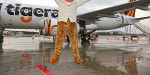 The impostor mascot who welcomed the first Tigerair flights from Melbourne to Canberra.