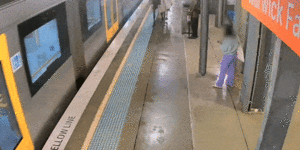 The mystery horse panicked late-night commuters at Warwick Farm on Friday.