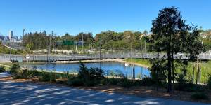 Rozelle Parklands is due to open on Tuesday,but blue-green algae has now been discovered in the wetlands within the park.