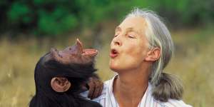 G Adventures’ Jane Goodall Collection just added five additional itineraries.