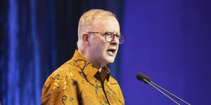 Anthony Albanese,pictured here in Indonesia last year,will release the government’s South-East Asia strategy during a trip to Jakarta on Wednesday.