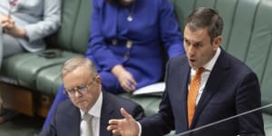 Prime Minister Anthony Albanese and Treasurer Jim Chalmers during question time last month.