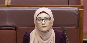 Labor Senator Fatima Payman has quit two parliamentary foreign affairs committees after splitting with the party over policy on Israel.