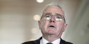 ‘Watershed moment’:Wilkie challenges other states to follow NSW pokie reform