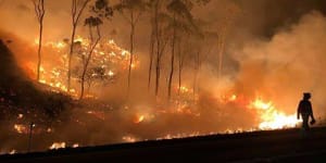 'We have not seen this before':Senior firefighter on horror season