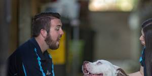 Here’s to Joy:Employees at the Lost Dogs’ Home’s Cranbourne centre,Brock Bushell and Annie Damerdjian,with Roscoe.