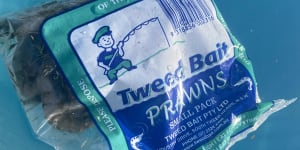Well-known fishing company Tweed Bait is leading a class action over the outbreak of white spot disease in prawns.