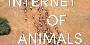 The Internet of Animals by Martin Wikelski. 