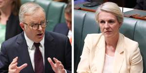 Plibersek made a vow on environmental reforms. Albanese has put that at risk